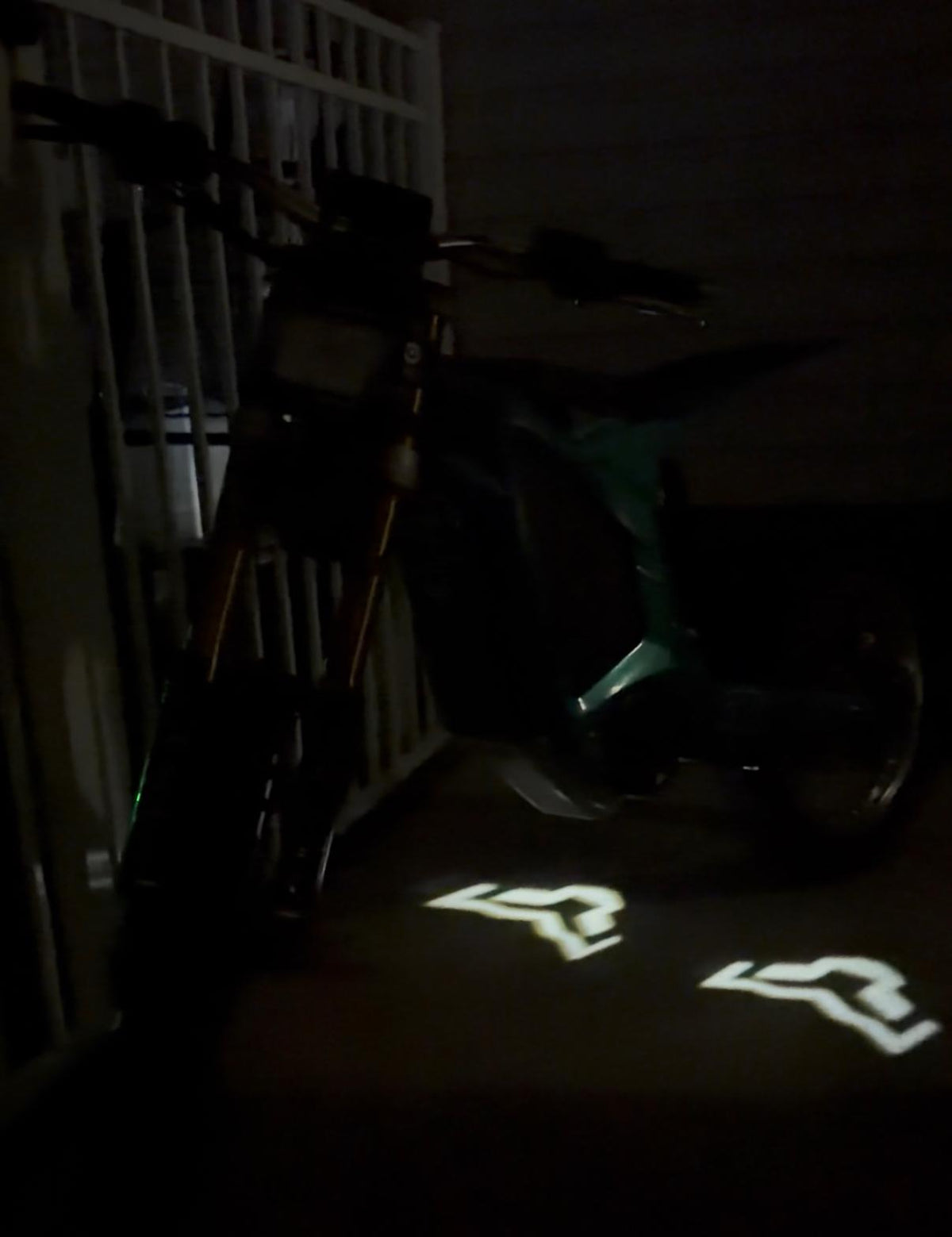 Arctic leopard Logo Lights